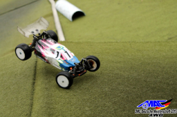 2015 DM 4WD Buggy 4WD Juni